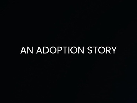 An Adoption Story