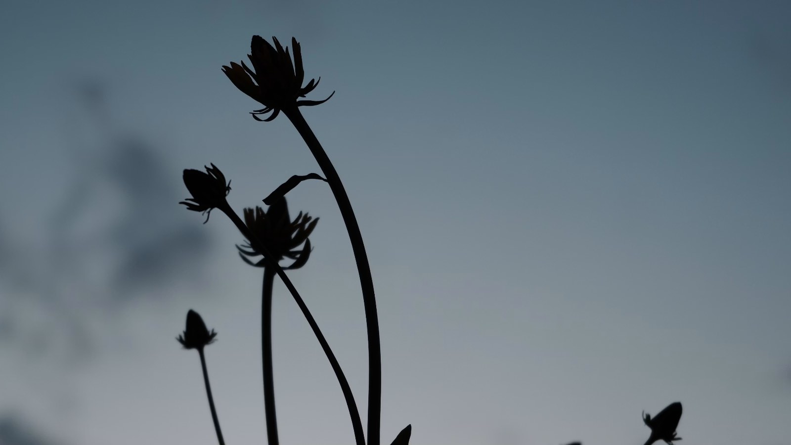 There is no Grieving Without Feeling (Pt. 1)