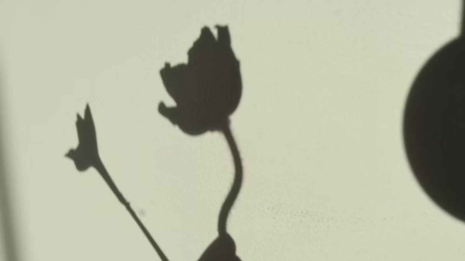 There Is No Grieving Without Feeling (Pt. III)